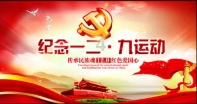 红色鹦鹉逃脱